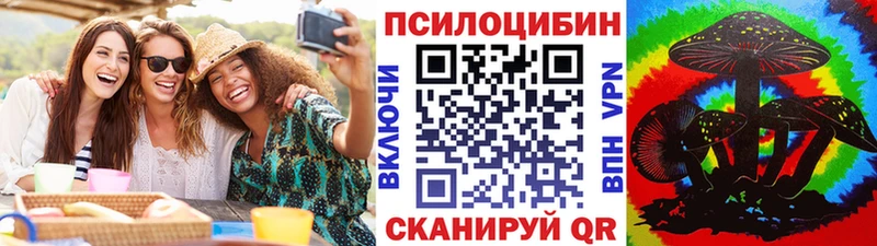 Галлюциногенные грибы Cubensis  купить наркотики сайты  Шагонар 